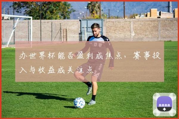 办世界杯能否盈利成焦点，赛事投入与收益成关注点